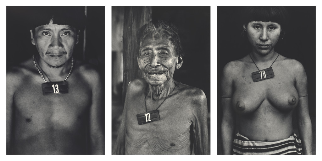 Vertical 8 (Village of Mucajai) from the series Marcados