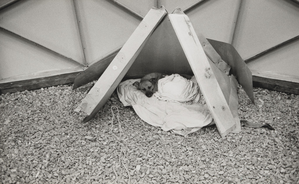 Photograph from the book CHARAS: The Improbable Dome Builders (1973)