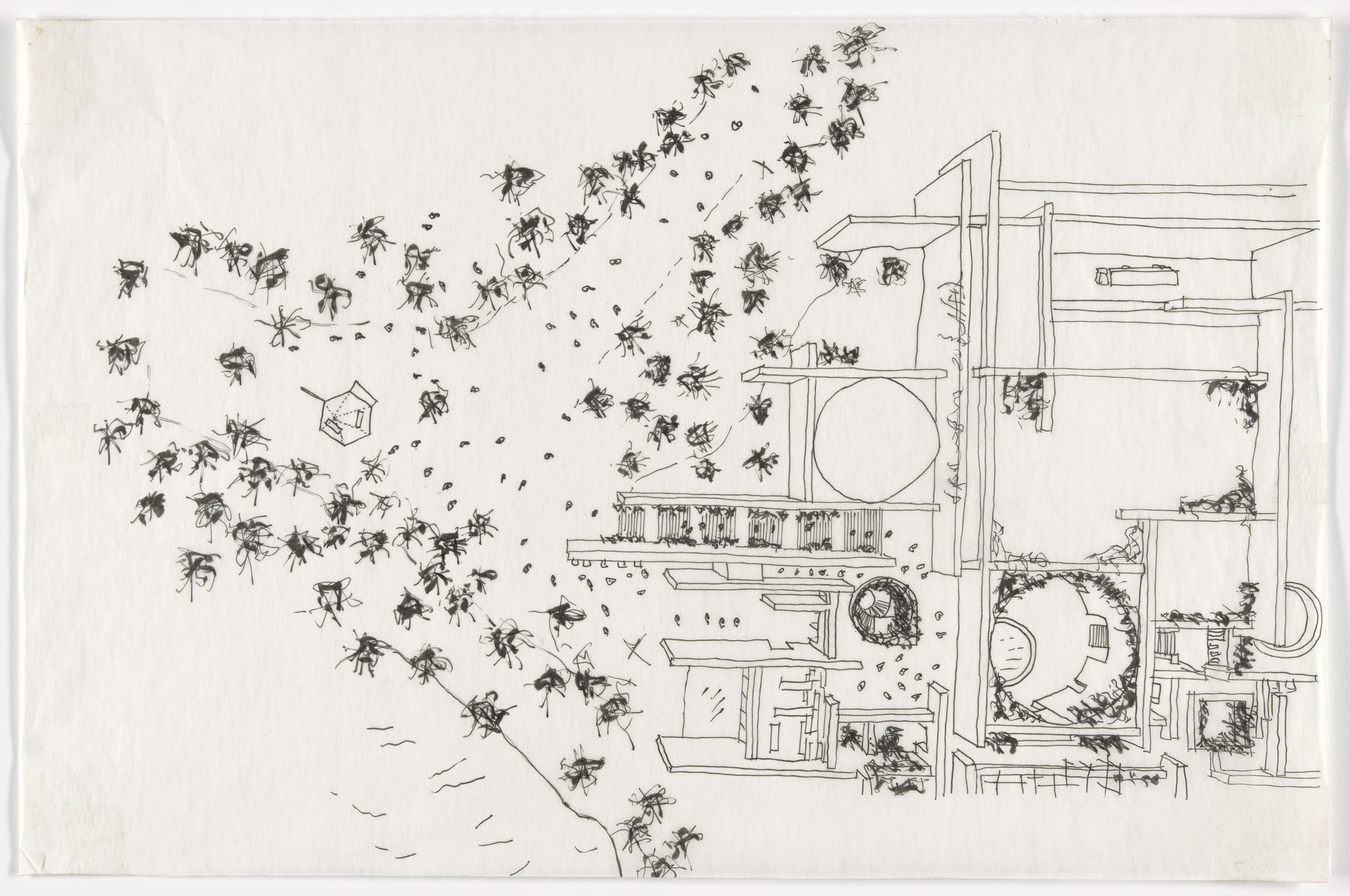 Tatiana Bilbao. Sea of Cortez Research Center, Mazatlan, Mexico