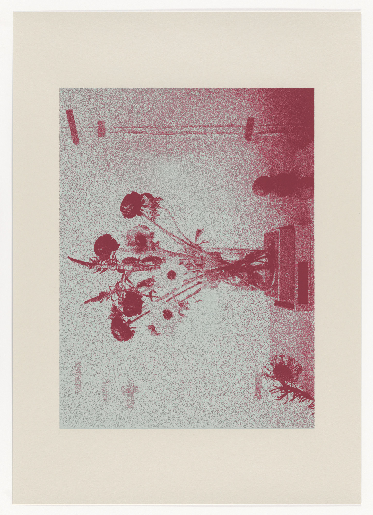 Stefano Graziani. Natura Morta, Trieste from the portfolio Four Five Six