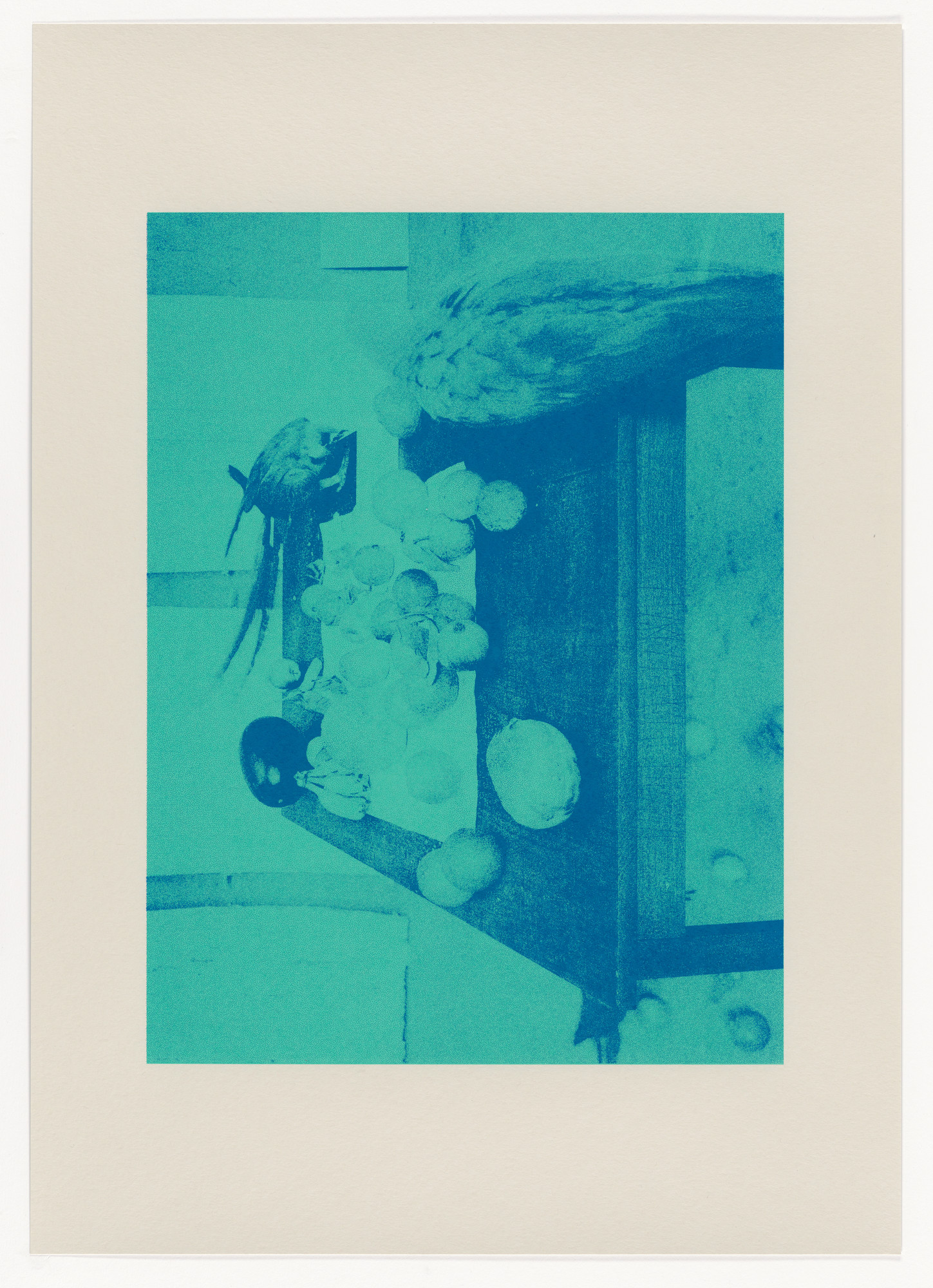Stefano Graziani. Natura Morta with Parrots, Studio Mumbai, Mumbai from the portfolio Four Five Six
