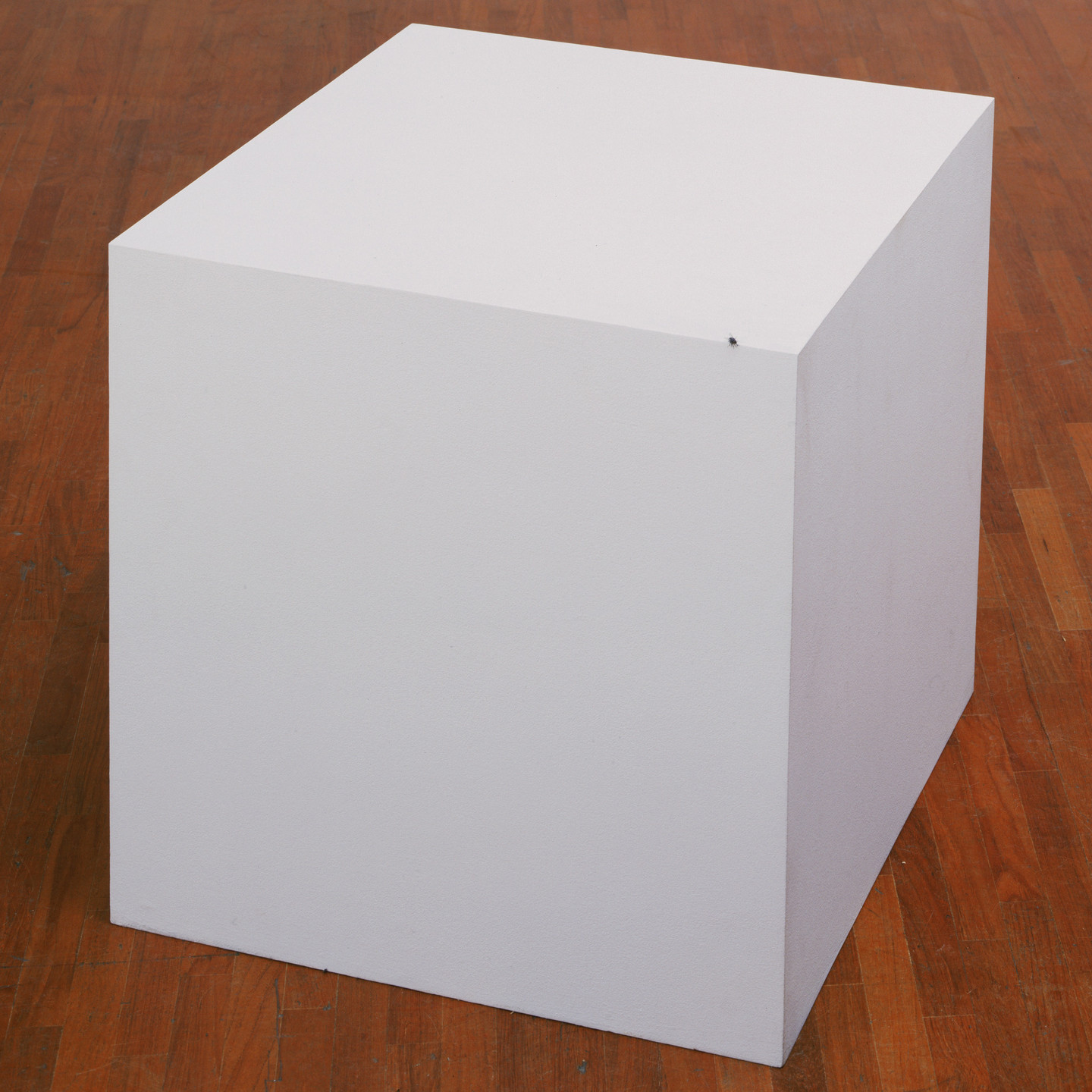 Tom Friedman. Untitled. 1995