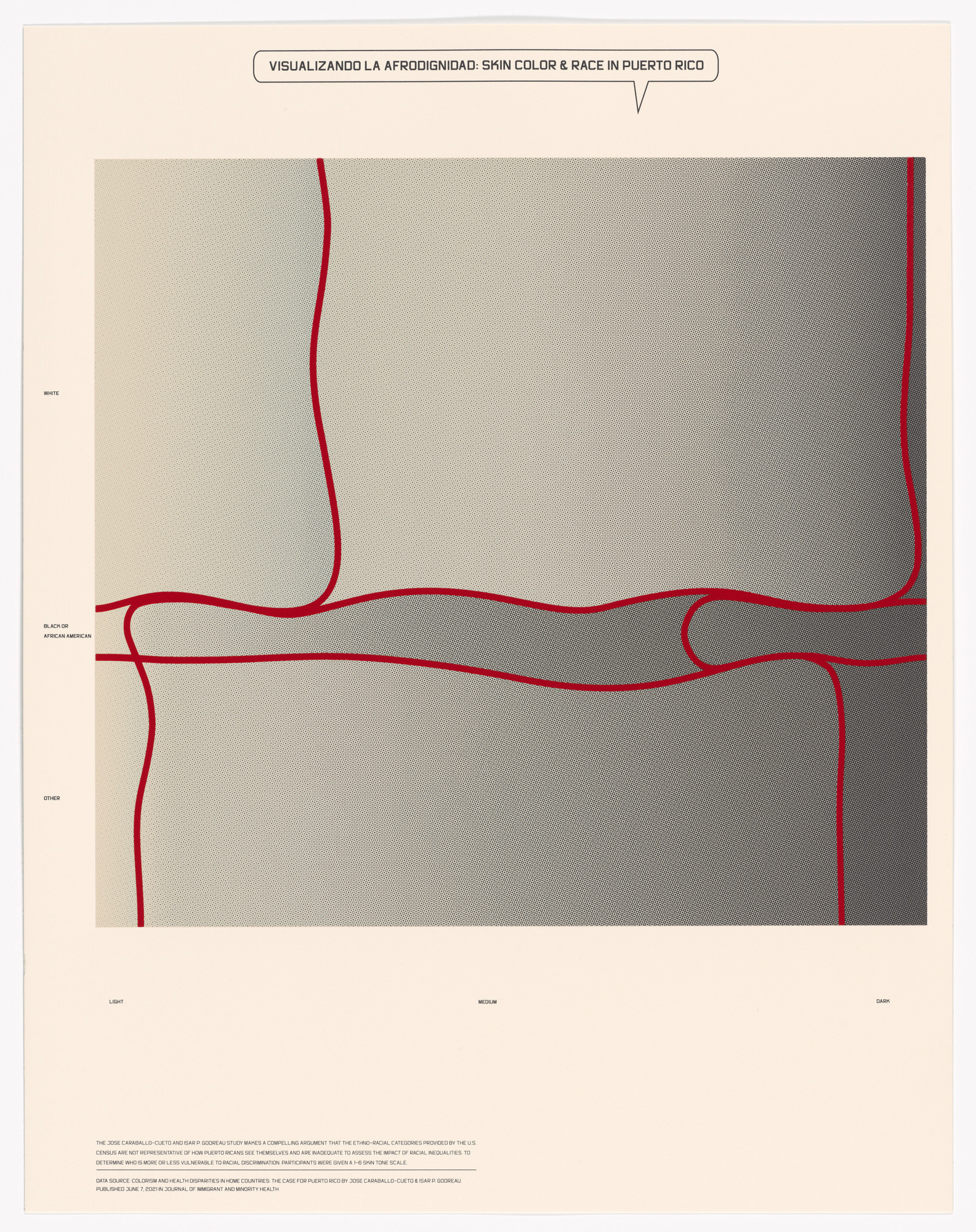 Shraddha Ramani, William Villalongo. Visualizando La Afrodignidad: Skin Color & Race in Puerto Rico from Printing Black America: Du Bois’s Data Portraits in the 21st Century. Portfolio 2: Populations