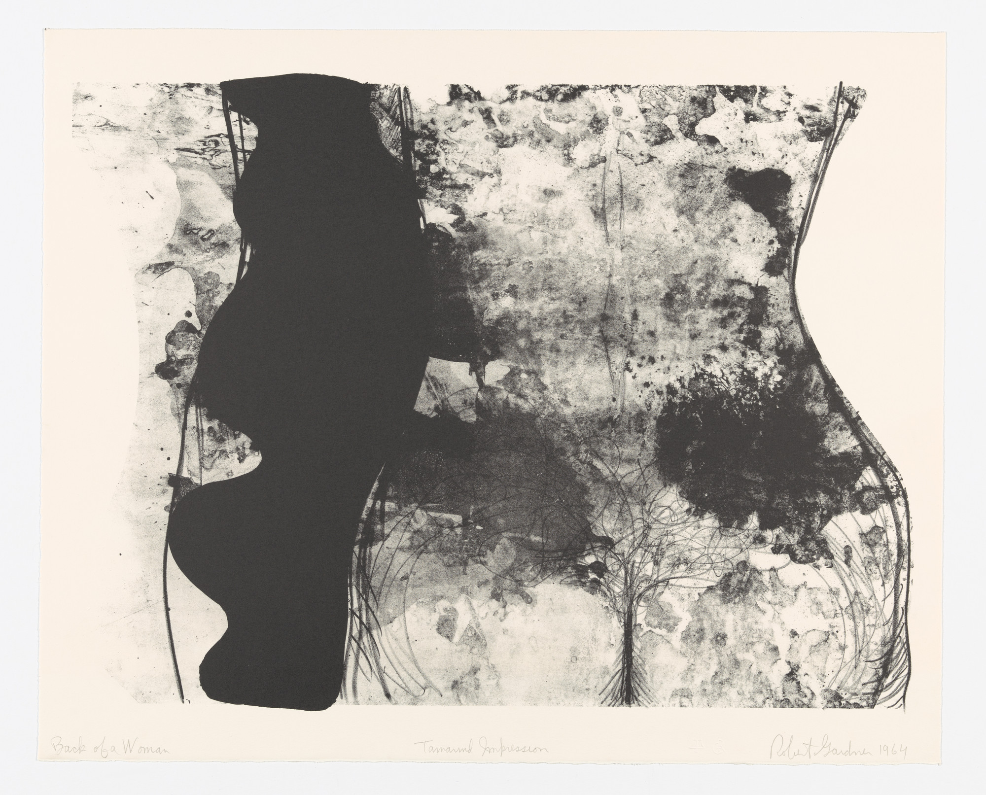 Robert Gardner. Back of a Woman