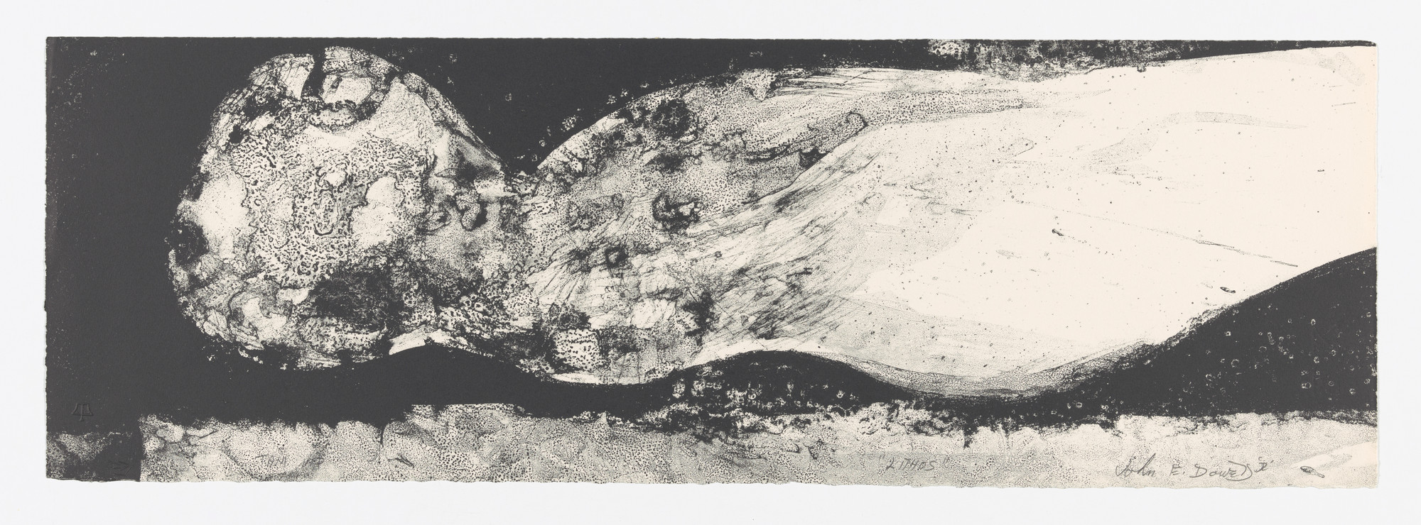 John Edward Dowell. Lithos
