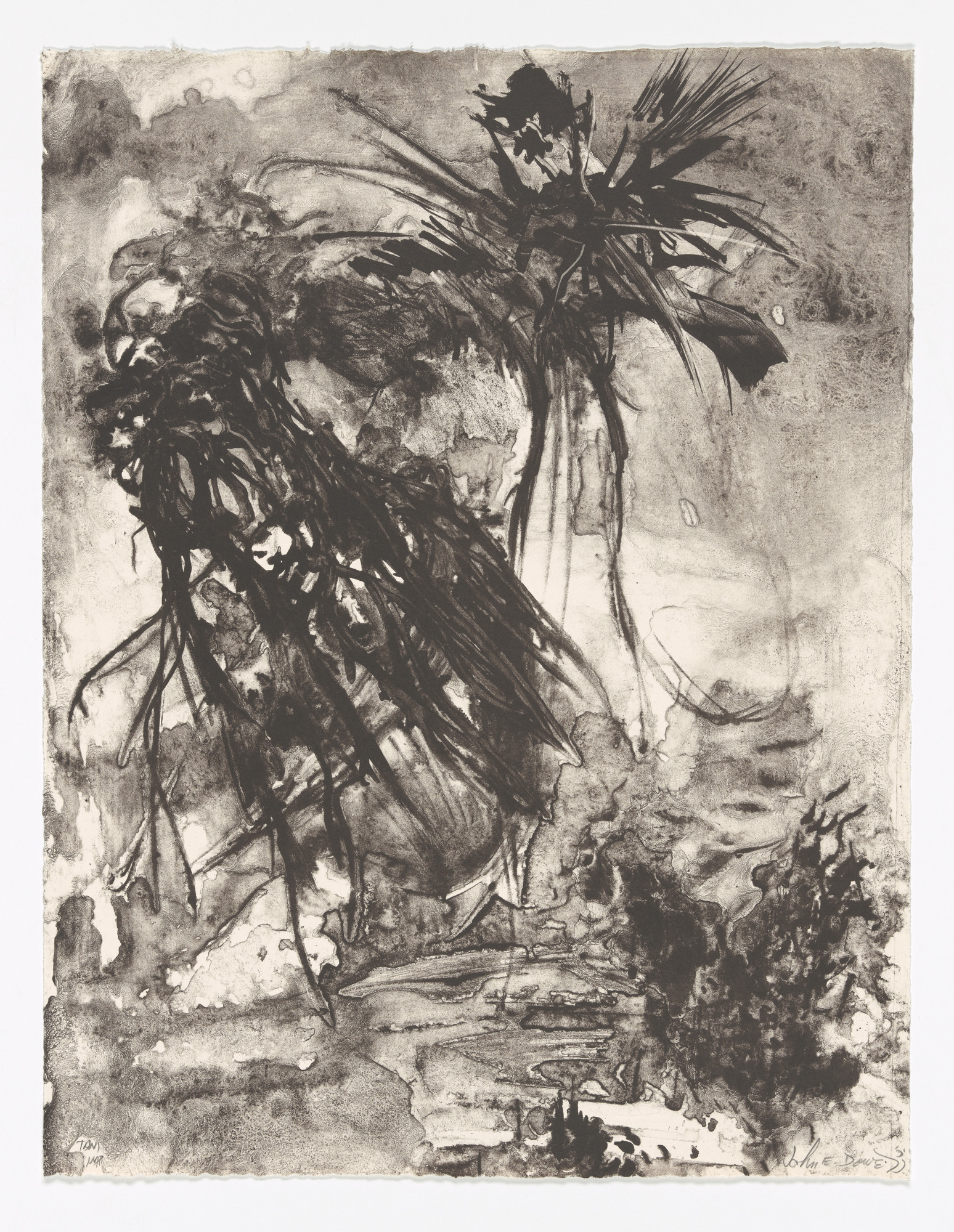 John Edward Dowell. Untitled