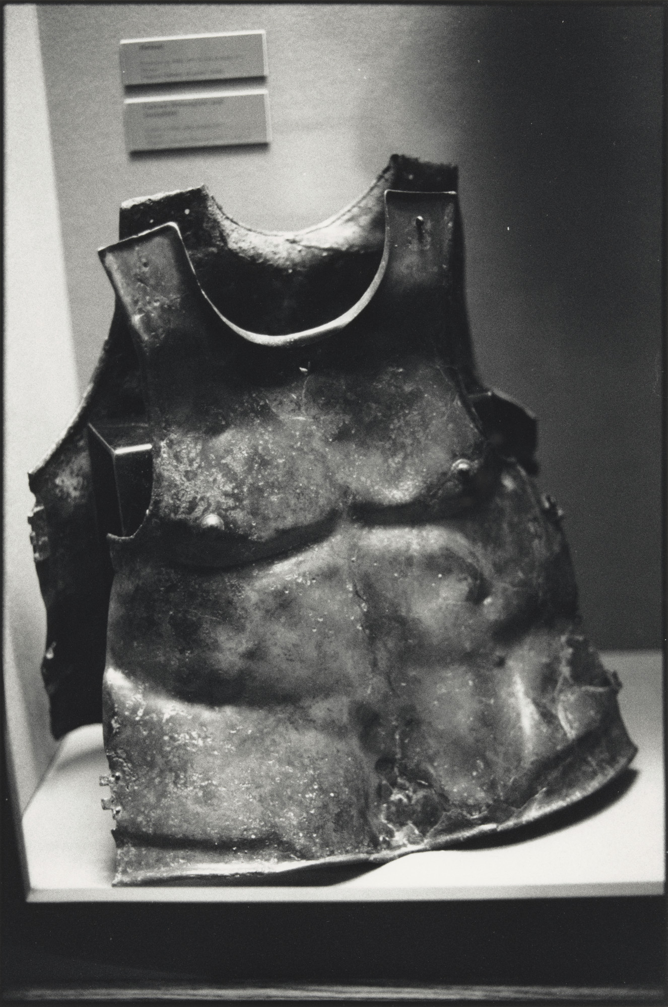 Zoe Leonard. Display IX
