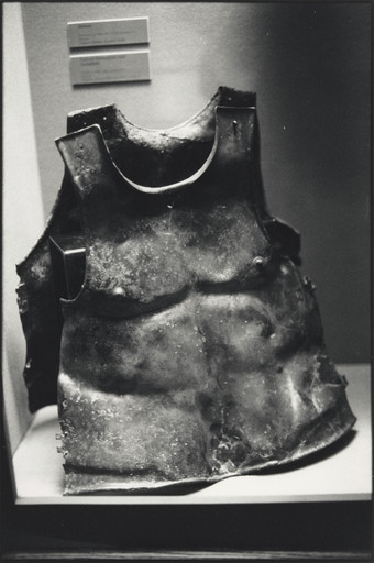 Zoe Leonard. Display IX
