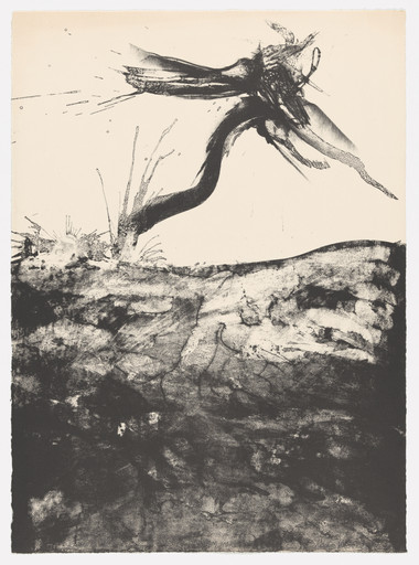 John Edward Dowell. Flight IV