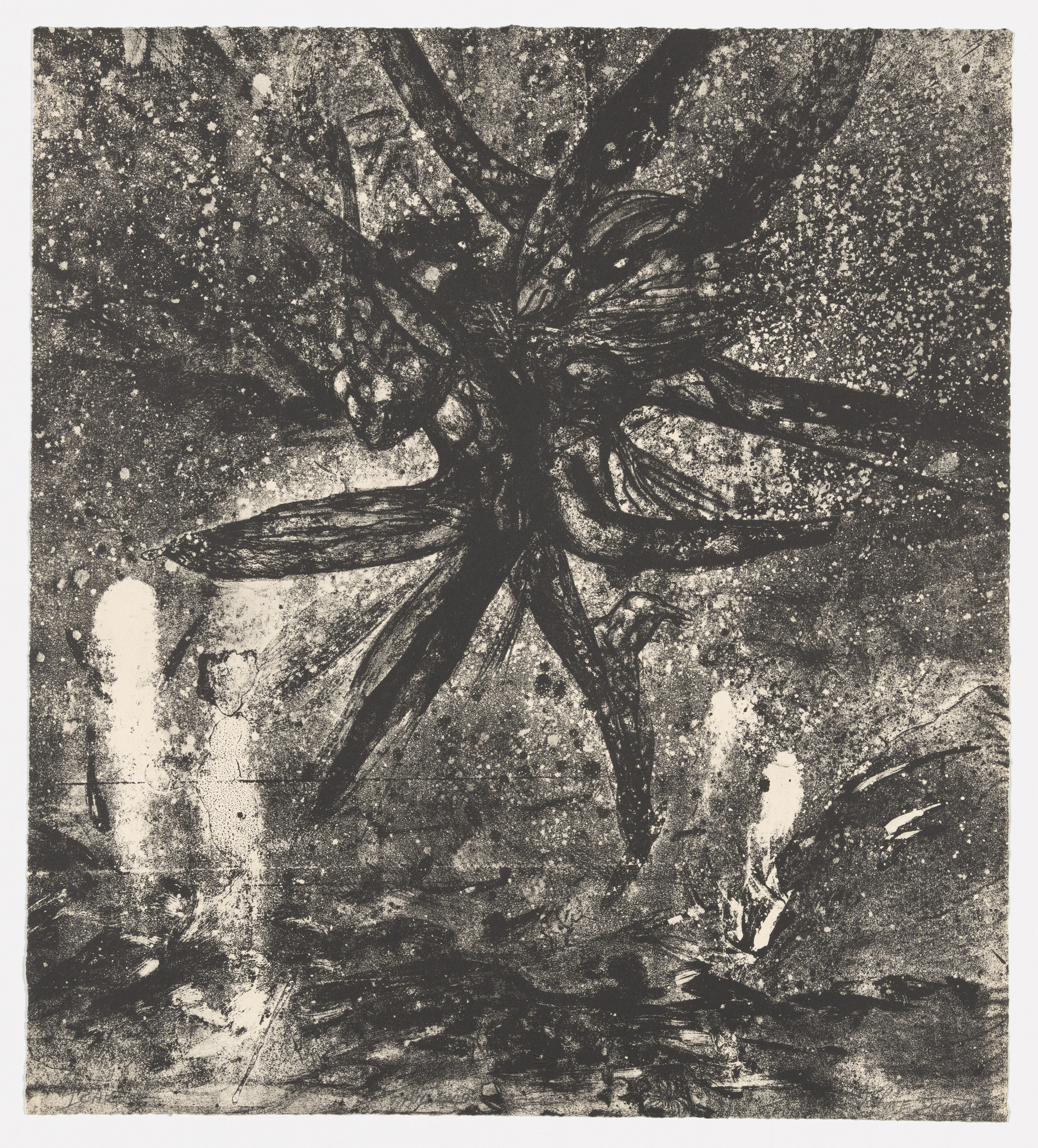 John Edward Dowell. Icarus