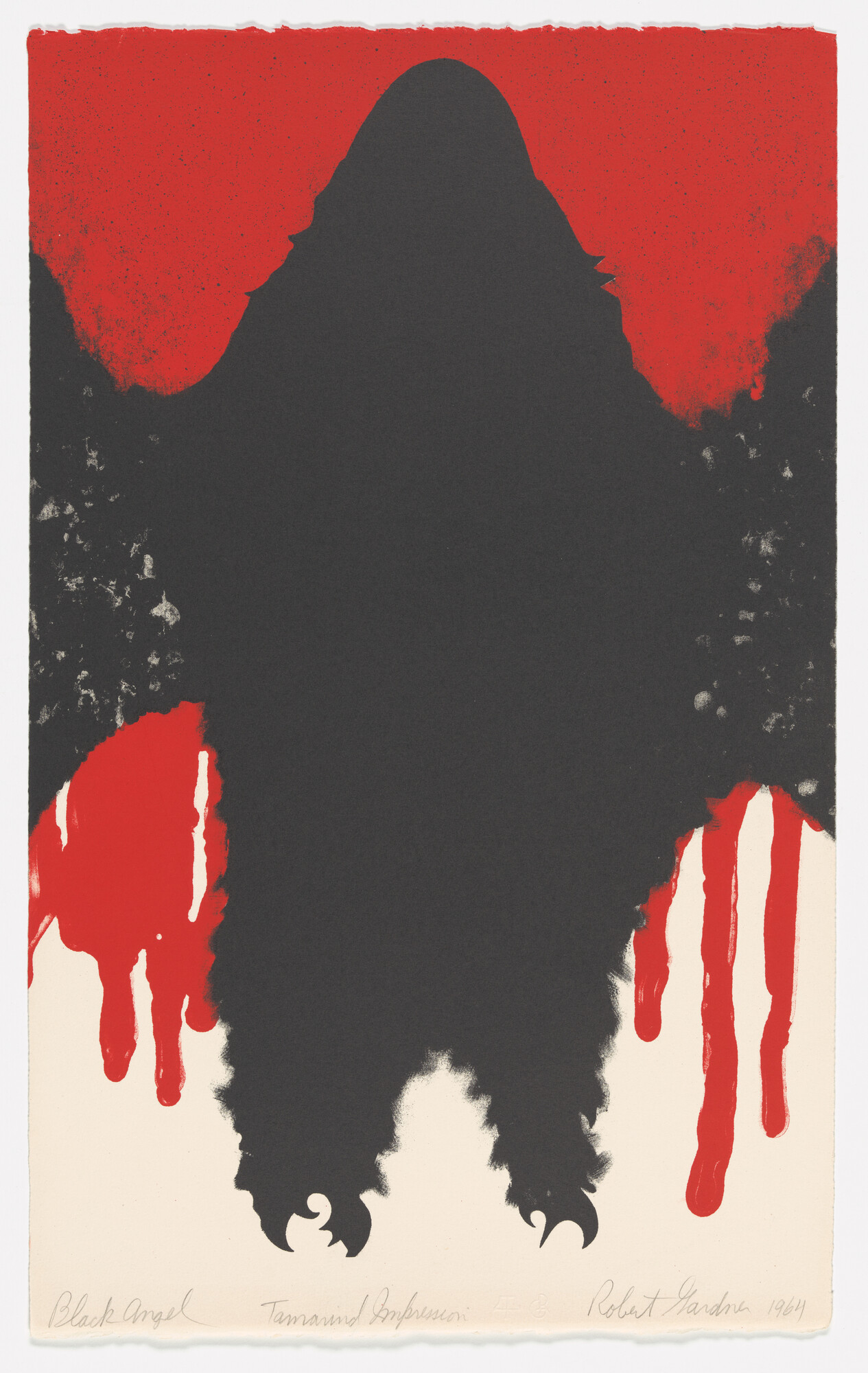 Robert Gardner. Black Angel