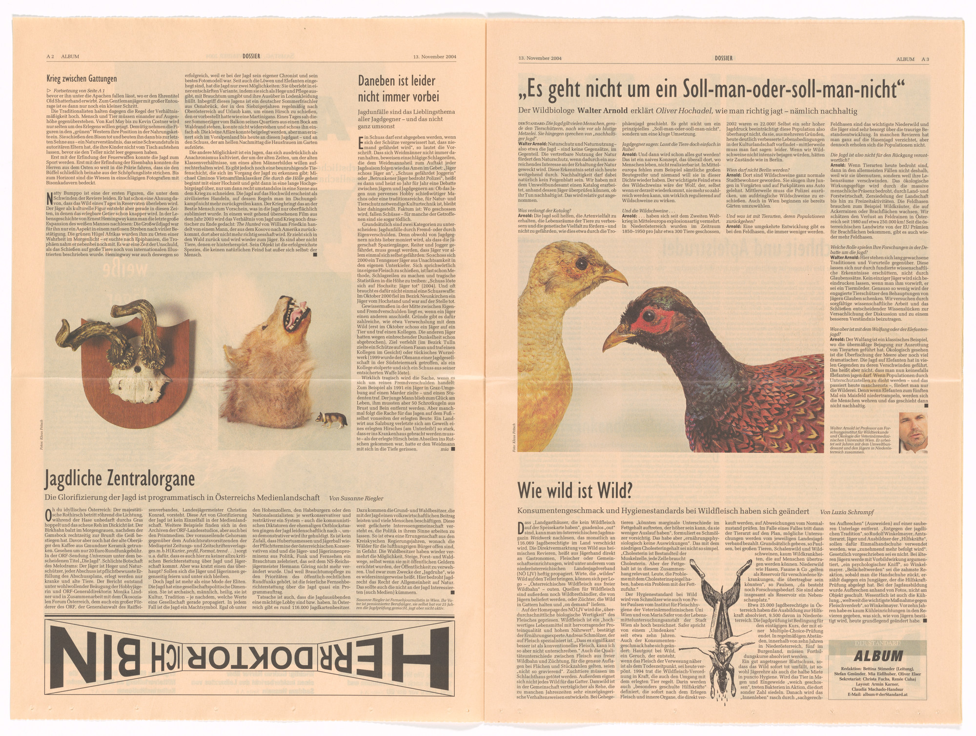 Sofia Goscinski. _Little freedom_from the Museum in Progress project The Standard Museum