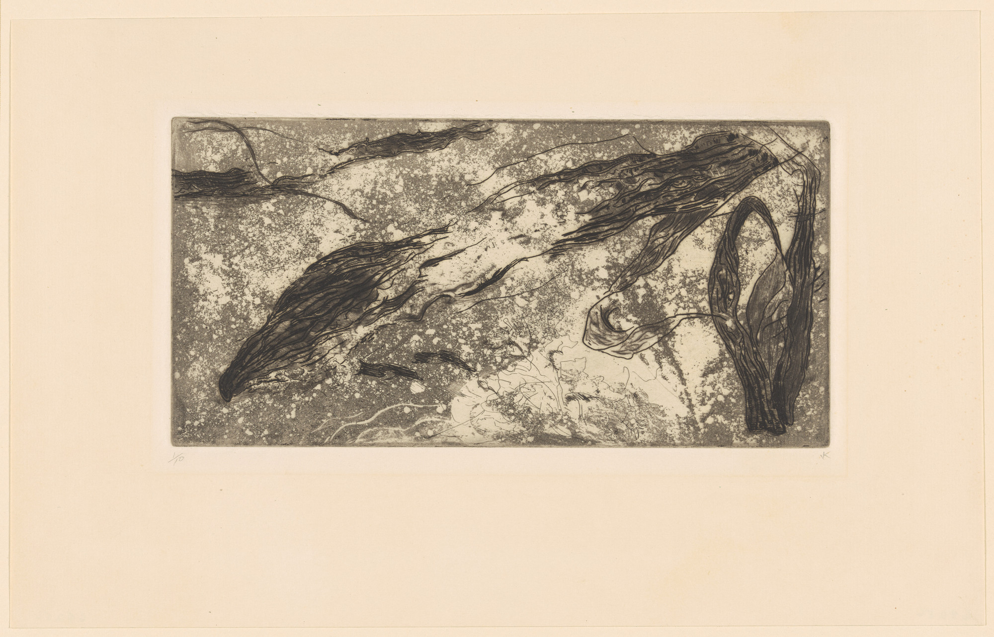 Jean Kellogg. Seaweed
