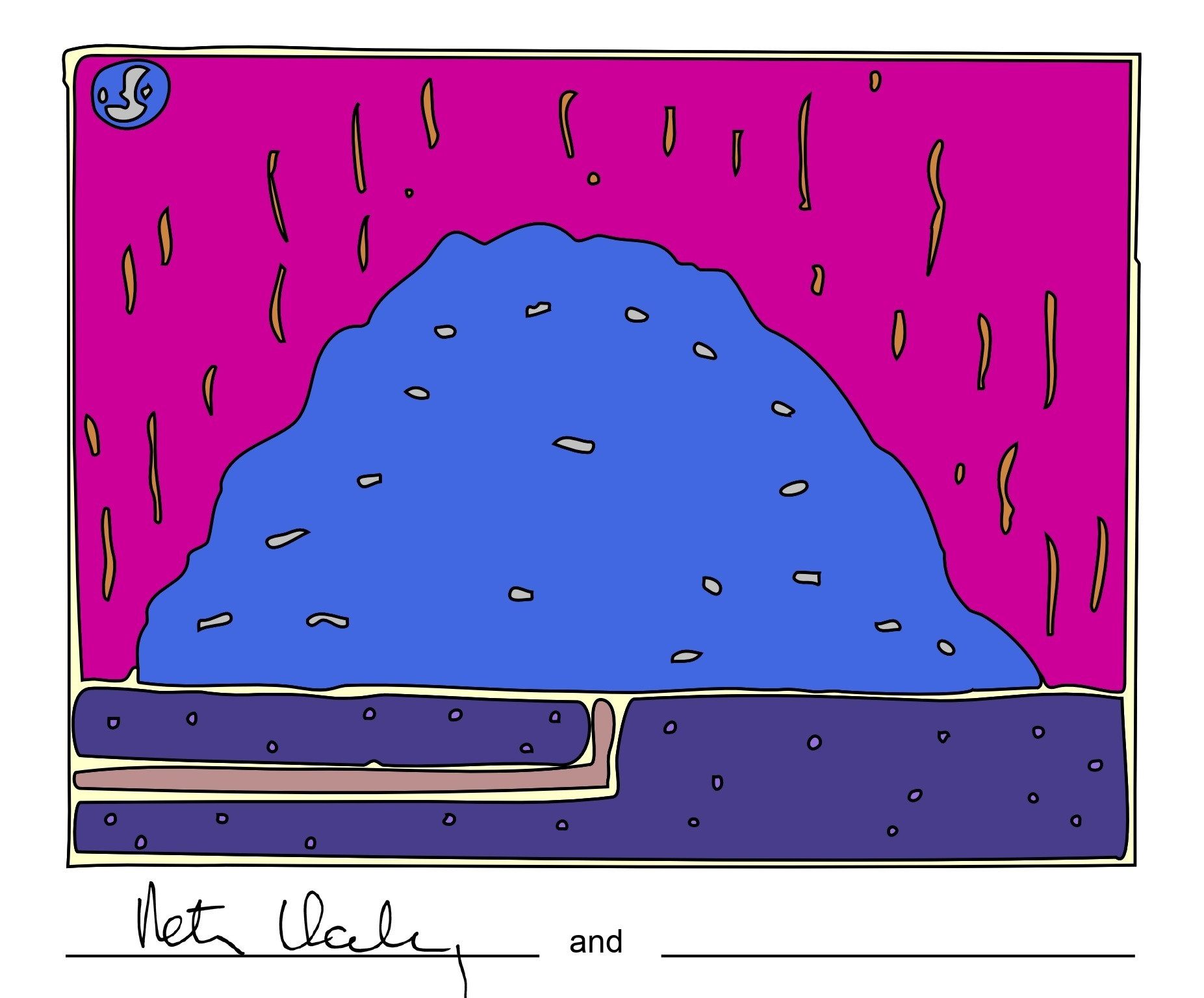 Peter Halley, Charles Carrico. Exploding Cell
