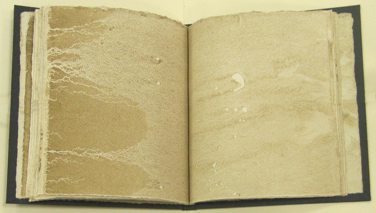 An open book shows two tan, textured pages with wavy lines and patches of light and dark areas. The book has a black cover, and its pages appear worn and uneven at the edges. This is an AI generated description. To give feedback, email ai@moma.org.