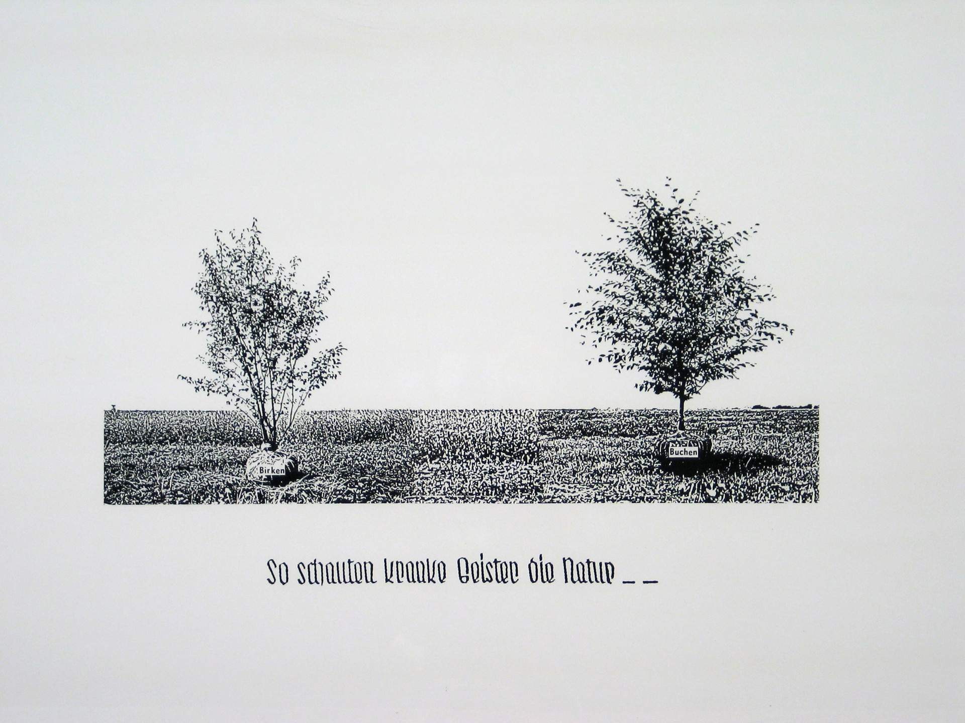 Jesse Reiser, Nanako Umemoto. Aktion Poliphile: Hypnerotomachia Ero/machia/hypniahouse, project, Wiesbaden, Germany, So schauten kranke Geister die Natur. 1989