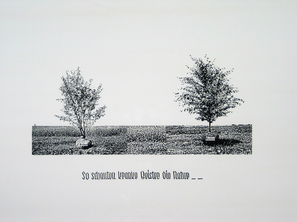 Aktion Poliphile: Hypnerotomachia Ero/machia/hypniahouse, project, Wiesbaden, Germany, So schauten kranke Geister die Natur