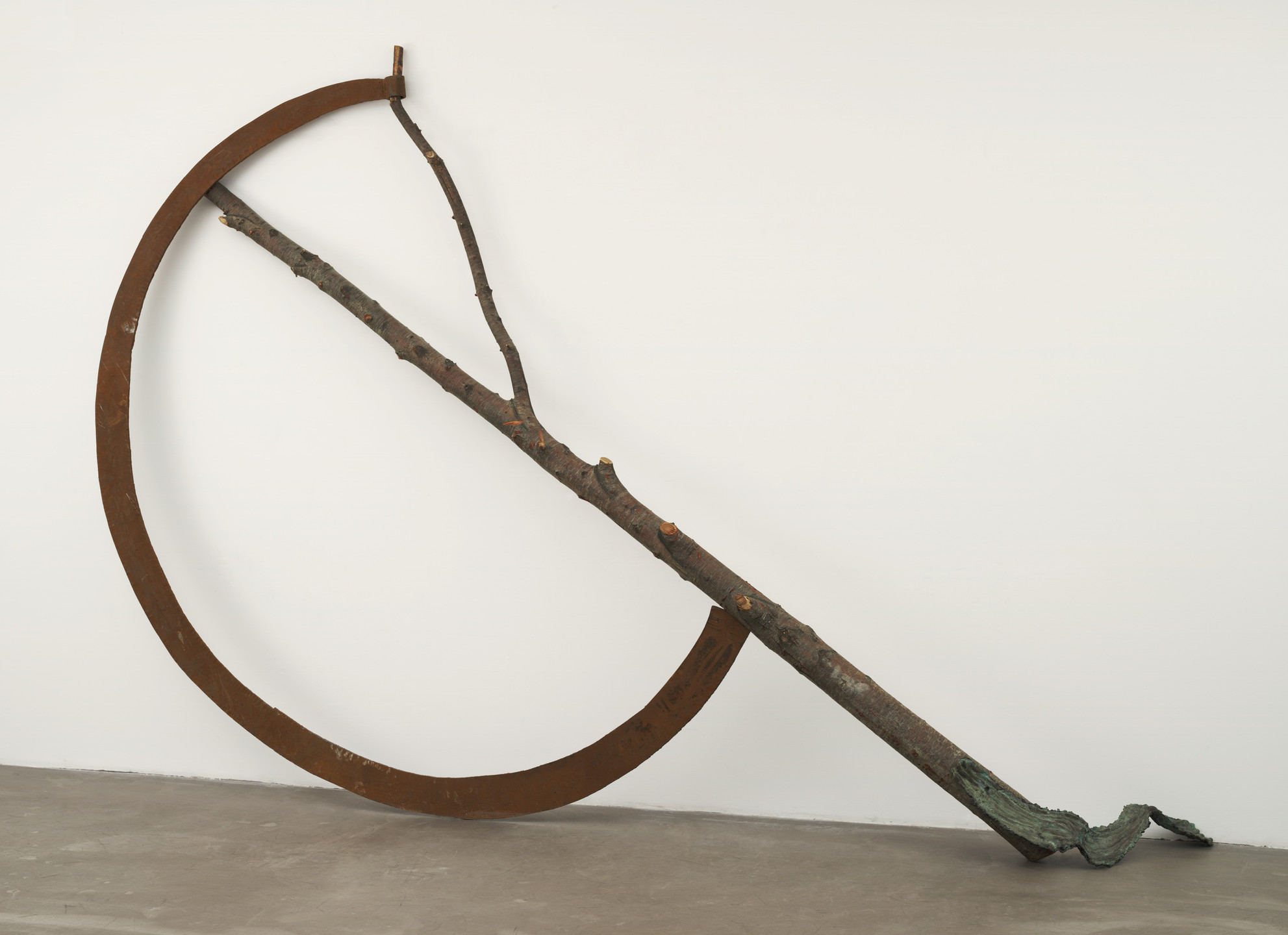 Giuseppe Penone. Double Vegetal Gesture/Ax. 1982