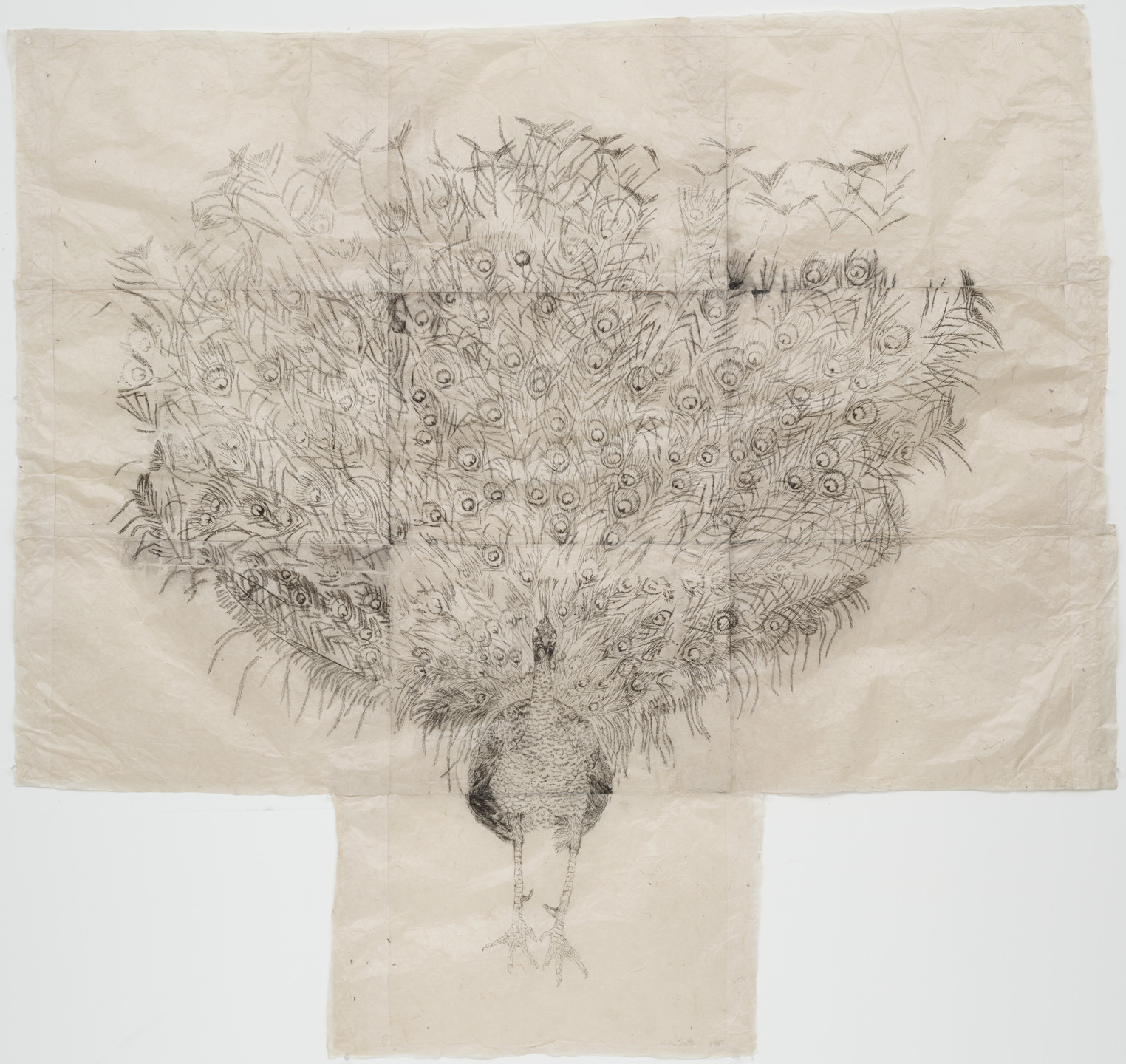 Kiki Smith. Peacock. 1997