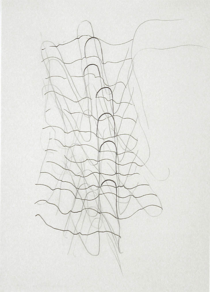 Gabriel Orozco. Untitled (hand print). 2000