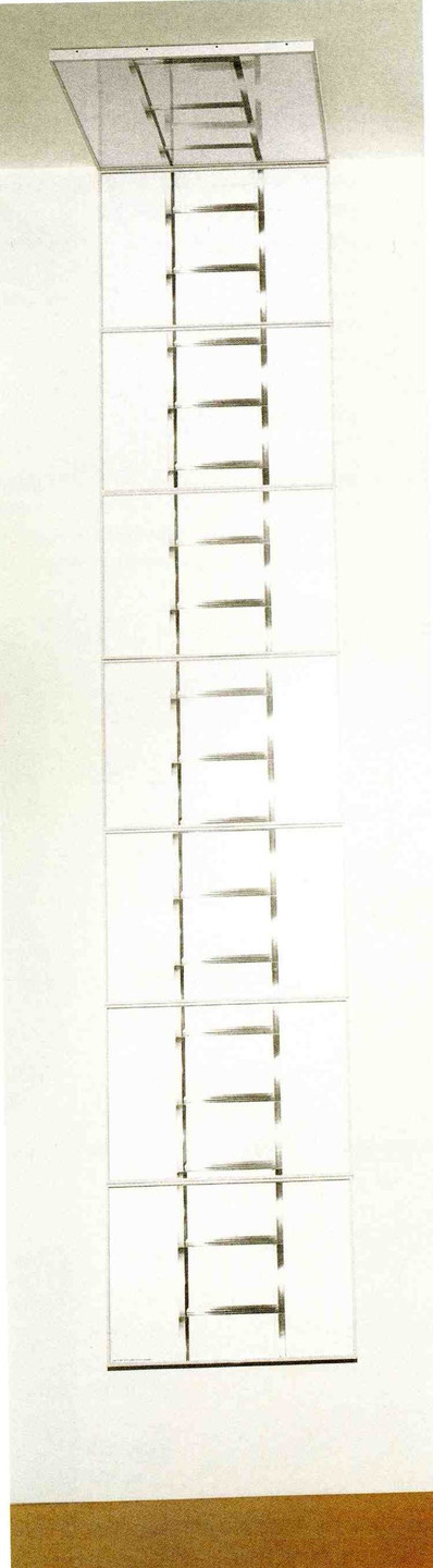 Vito Acconci. 20 Foot Ladder for Any Size Wall. 1979-80