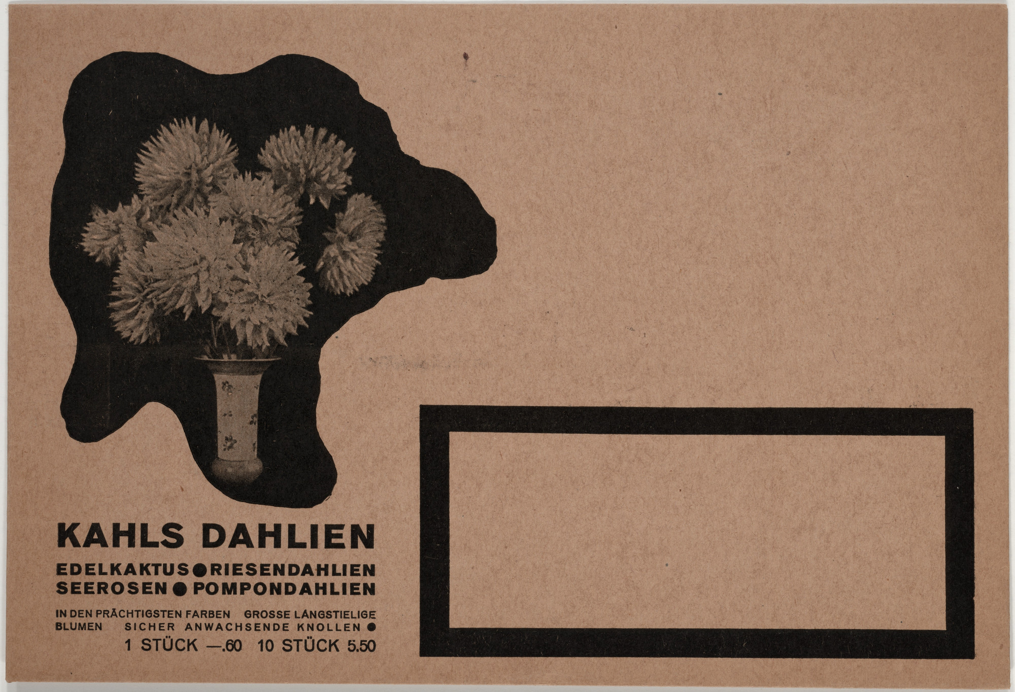 Robert Michel. Kahl's Dahlien. c. 1929