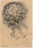 Piet Mondrian. Chrysanthemum (recto) and Head in Profile (verso). 1906
