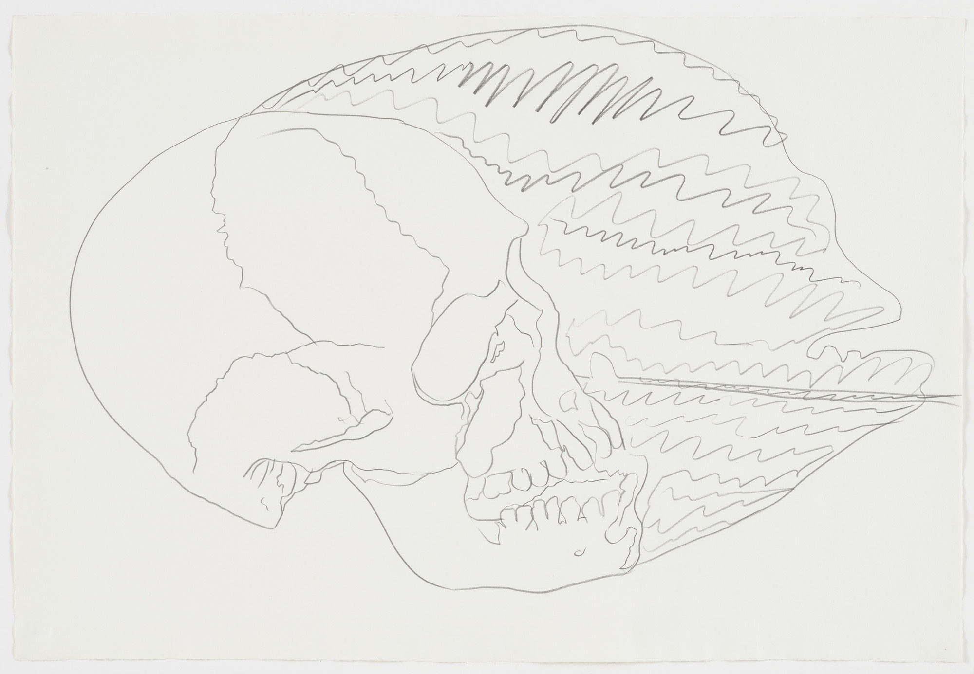 Andy Warhol. Untitled (Skull). 1976 | MoMA