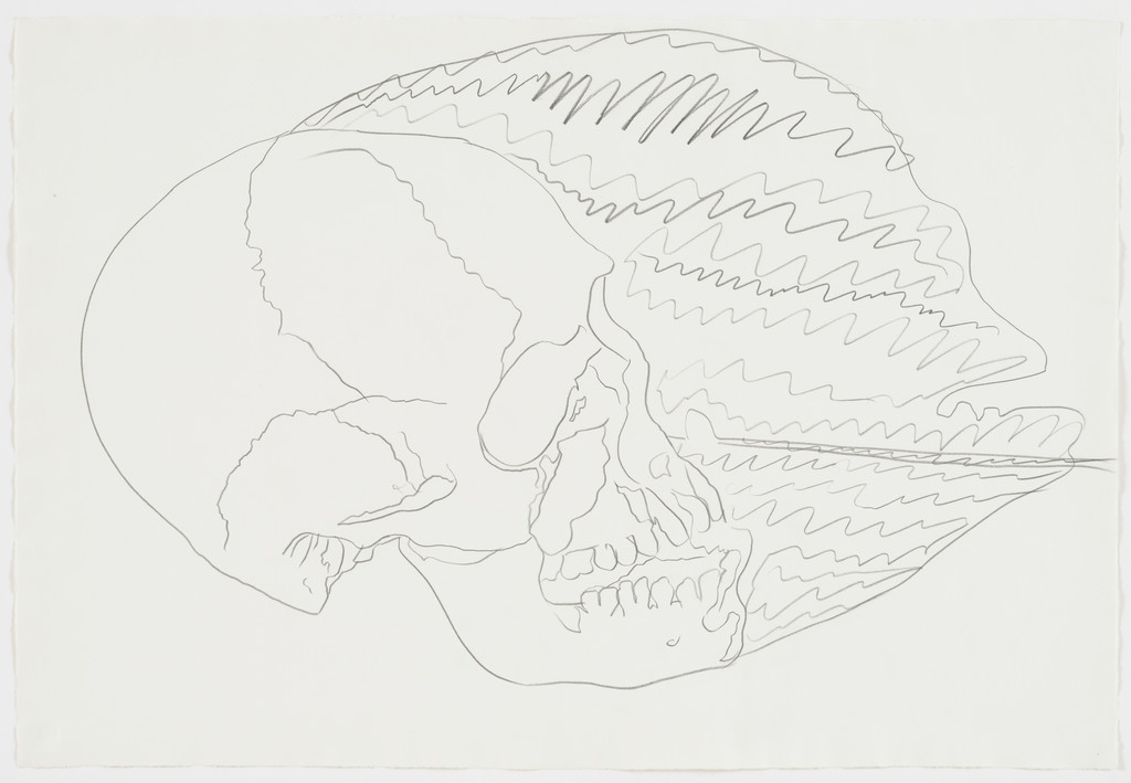 Untitled (Skull)