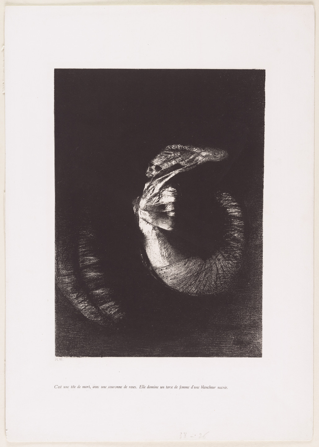 Odilon Redon. It Is a Skull, Crowned with Roses. It Dominates a