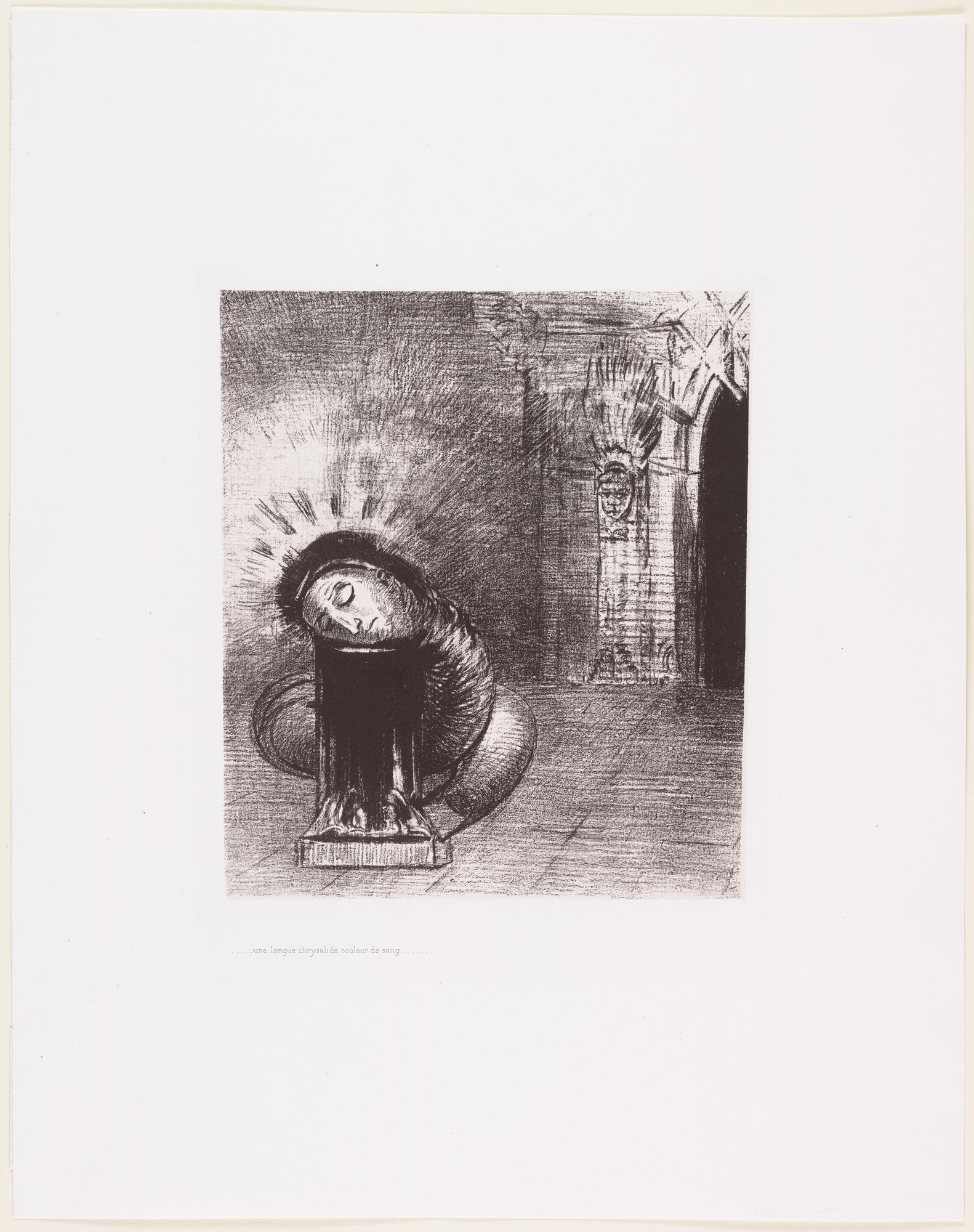 Odilon Redon. . . . A Long Chrysalis, the Color of Blood ( . . . une longue chrysalide couleur de sang )