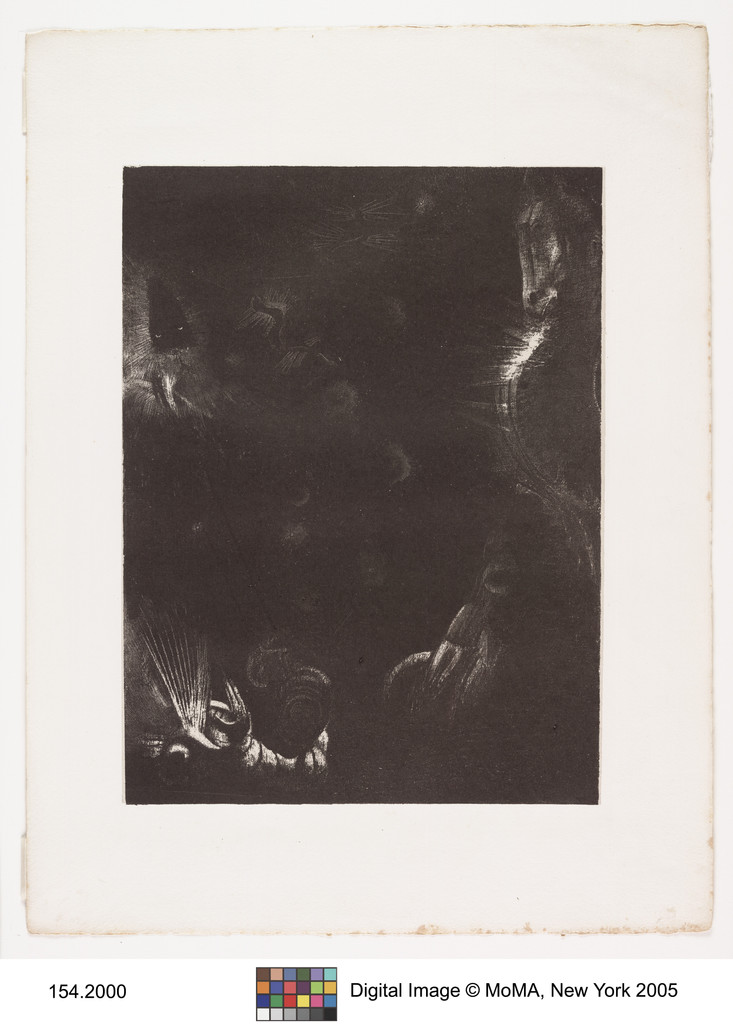 Different Peoples Dwell in the Countries of the Ocean (Des peuples divers habitent les pays de l'océan)