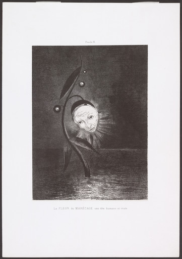 Beyond the Visible 　Art of Odilon Redon Amazon.com: Beyond The Visible: The Art Of Odilon Redon