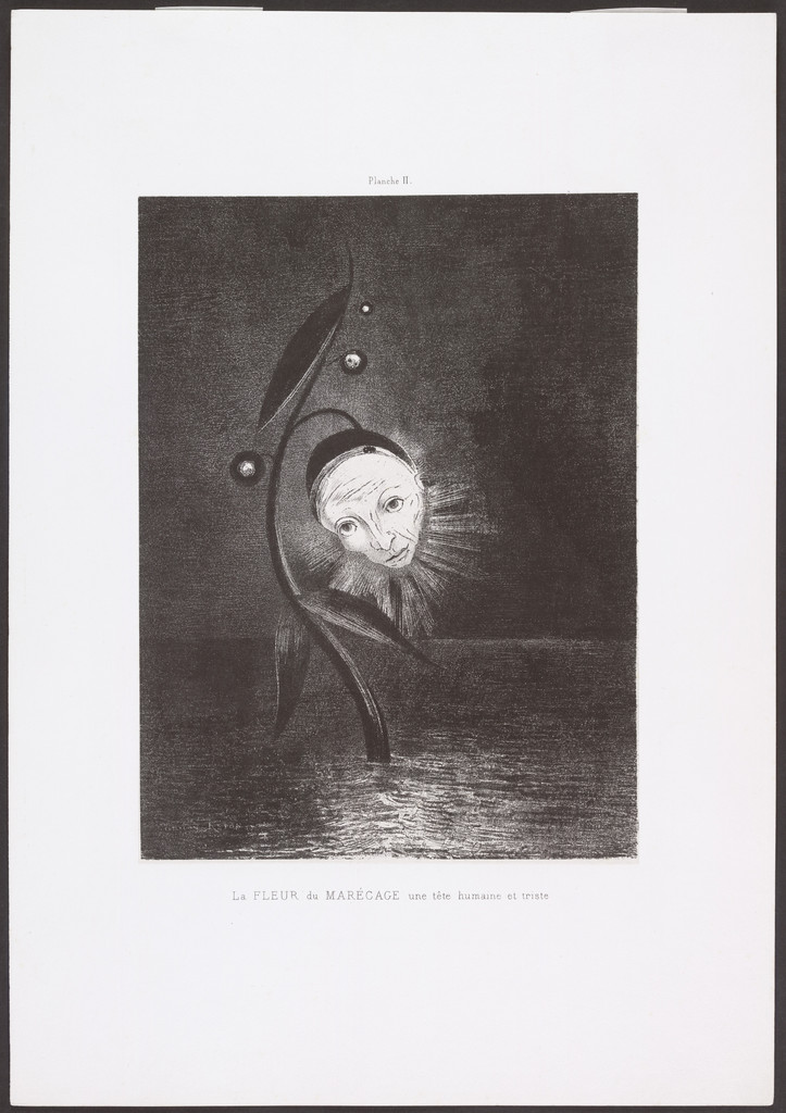 The Marsh Flower, a Sad Human Head (La Fleur du marécage, une tête humaine et triste) from Homage to Goya (Hommage à Goya)