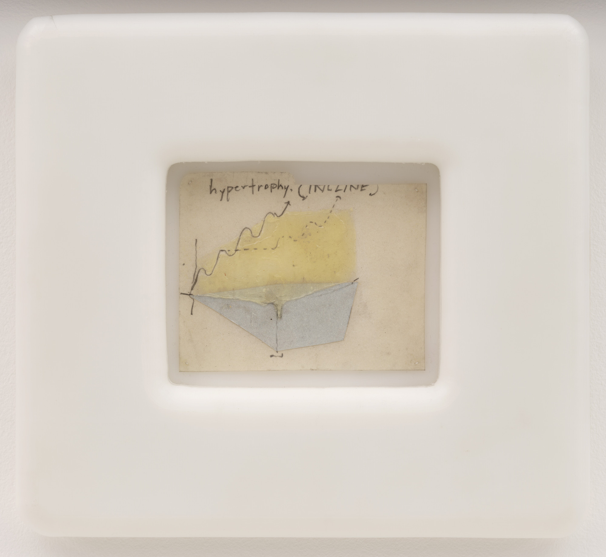 Matthew Barney. HYPERTROPHY (incline)