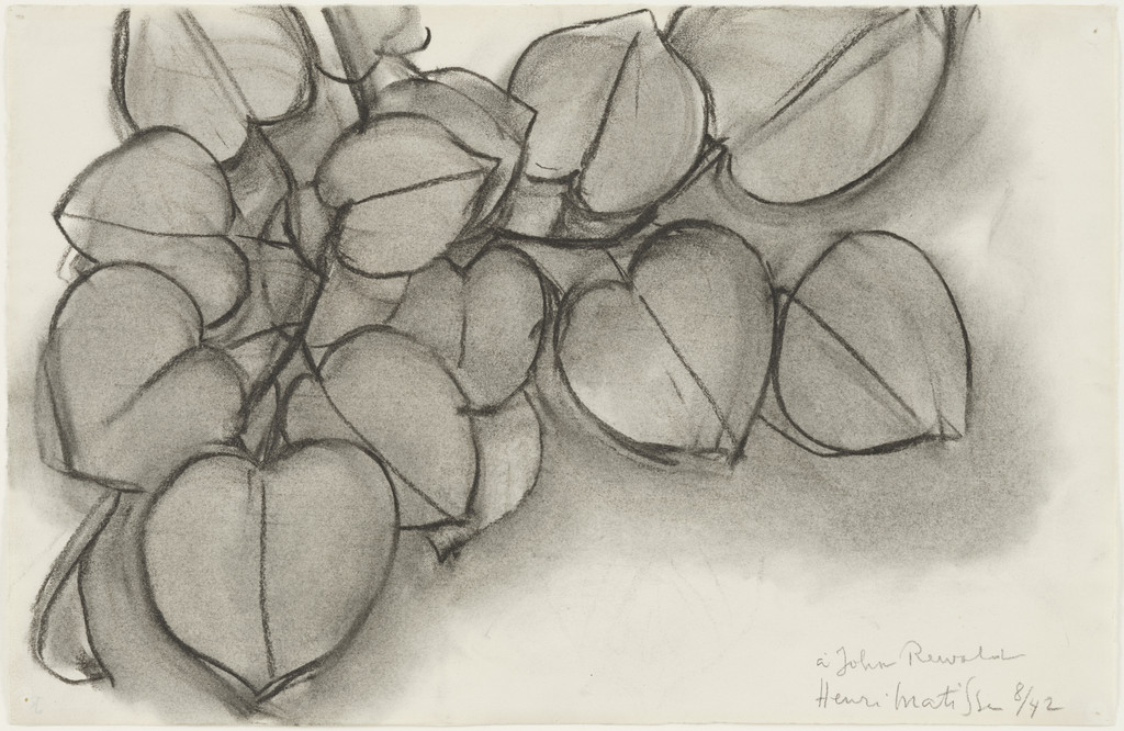 Branch of a Judas Tree