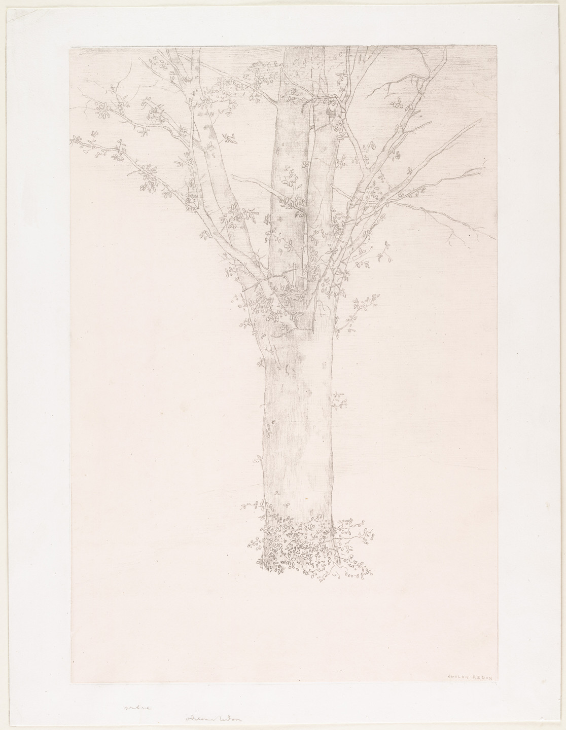 Odilon Redon. Tree (Arbre). 1892