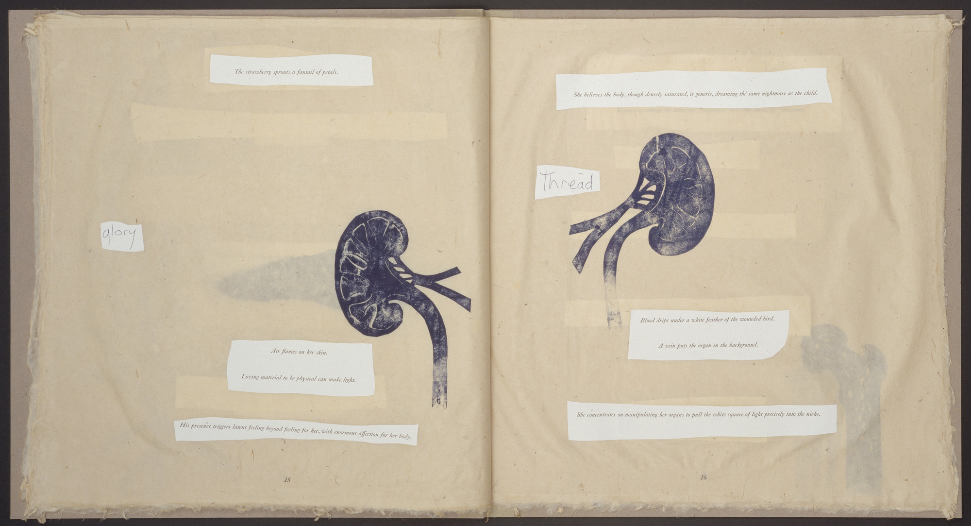 Kiki Smith. In-text plate (page 15) from Endocrinology