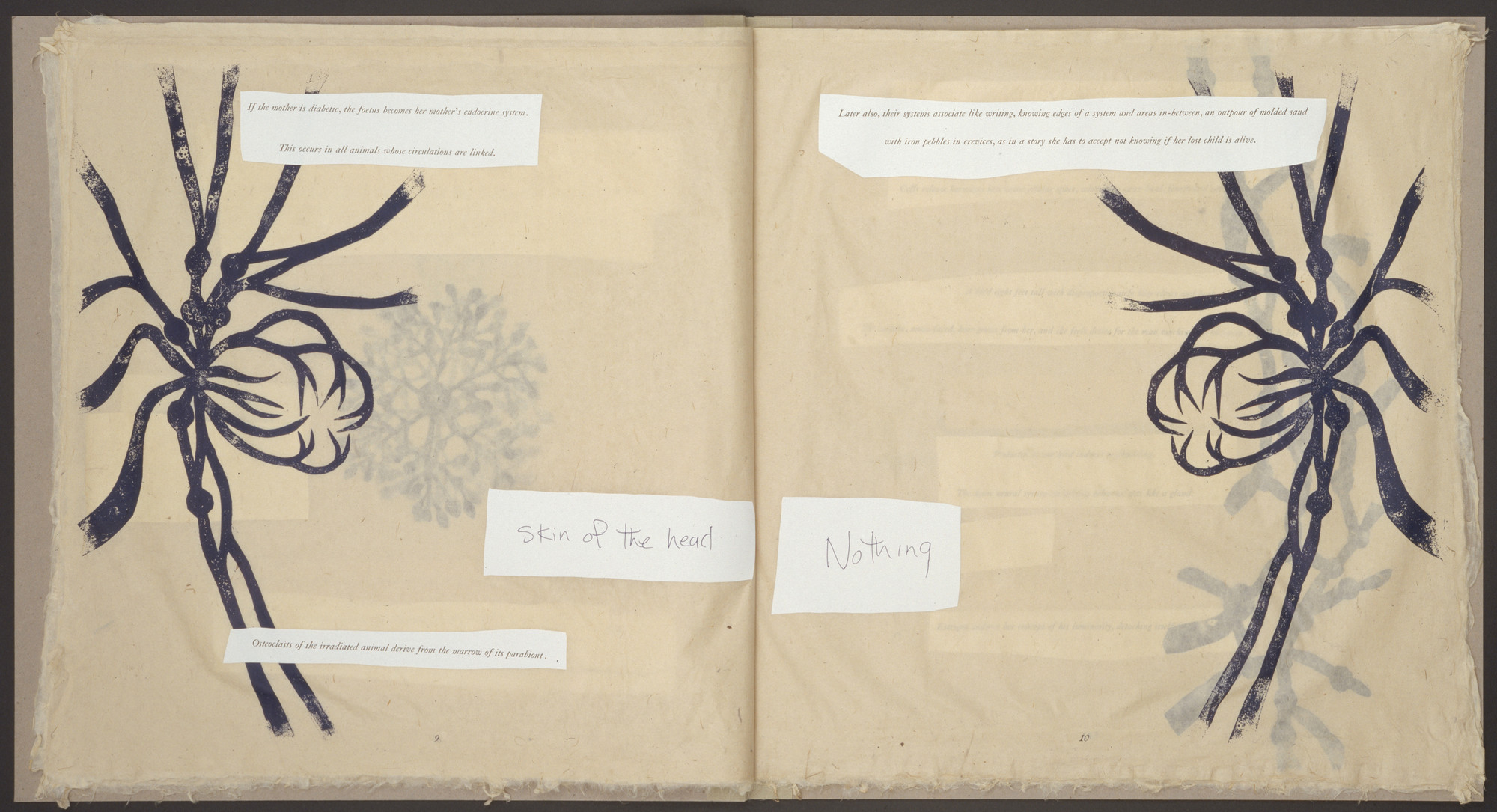 Kiki Smith. In-text plate (page 9) from Endocrinology