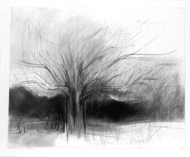 Jake Berthot. Black Oak for Kristen