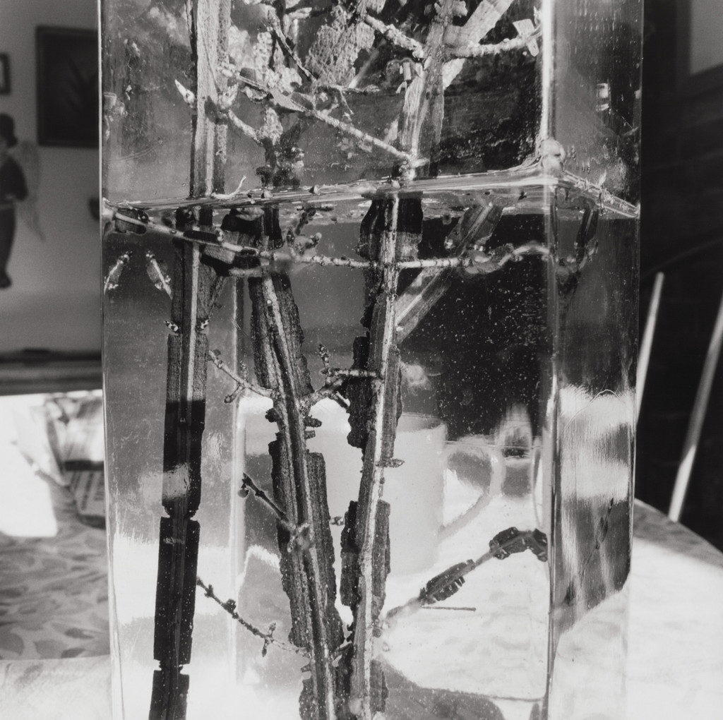 Stems