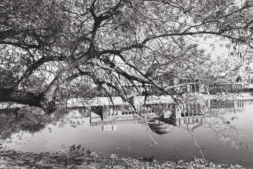 Jackson Park, Chicago, Illinois