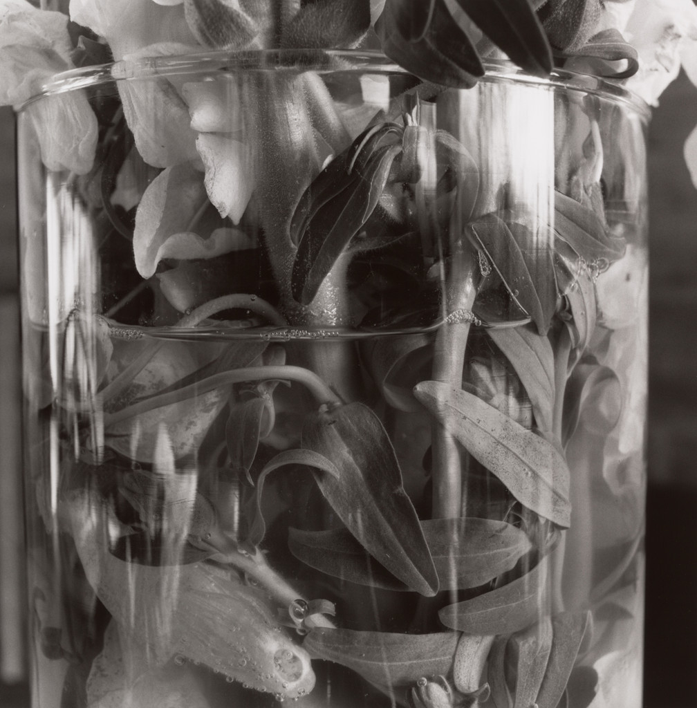 Stems