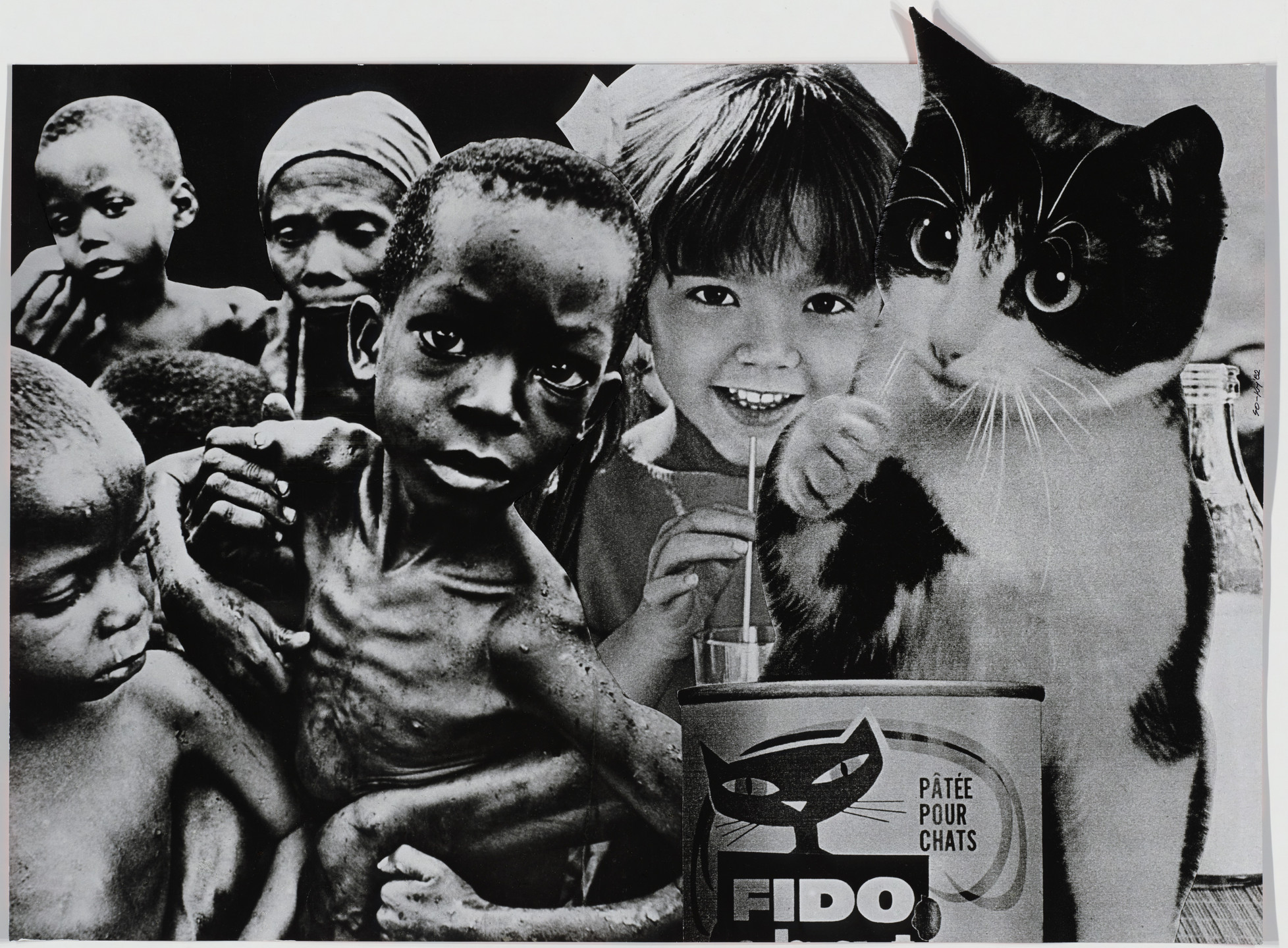 Laszlo Sos Eva Kemeny Fido Patee Pour Chats 19 Moma