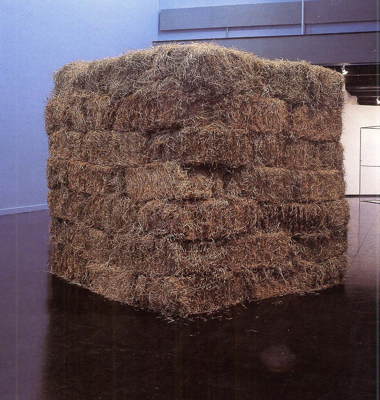 Cildo Meireles. Thread. 1990-95
