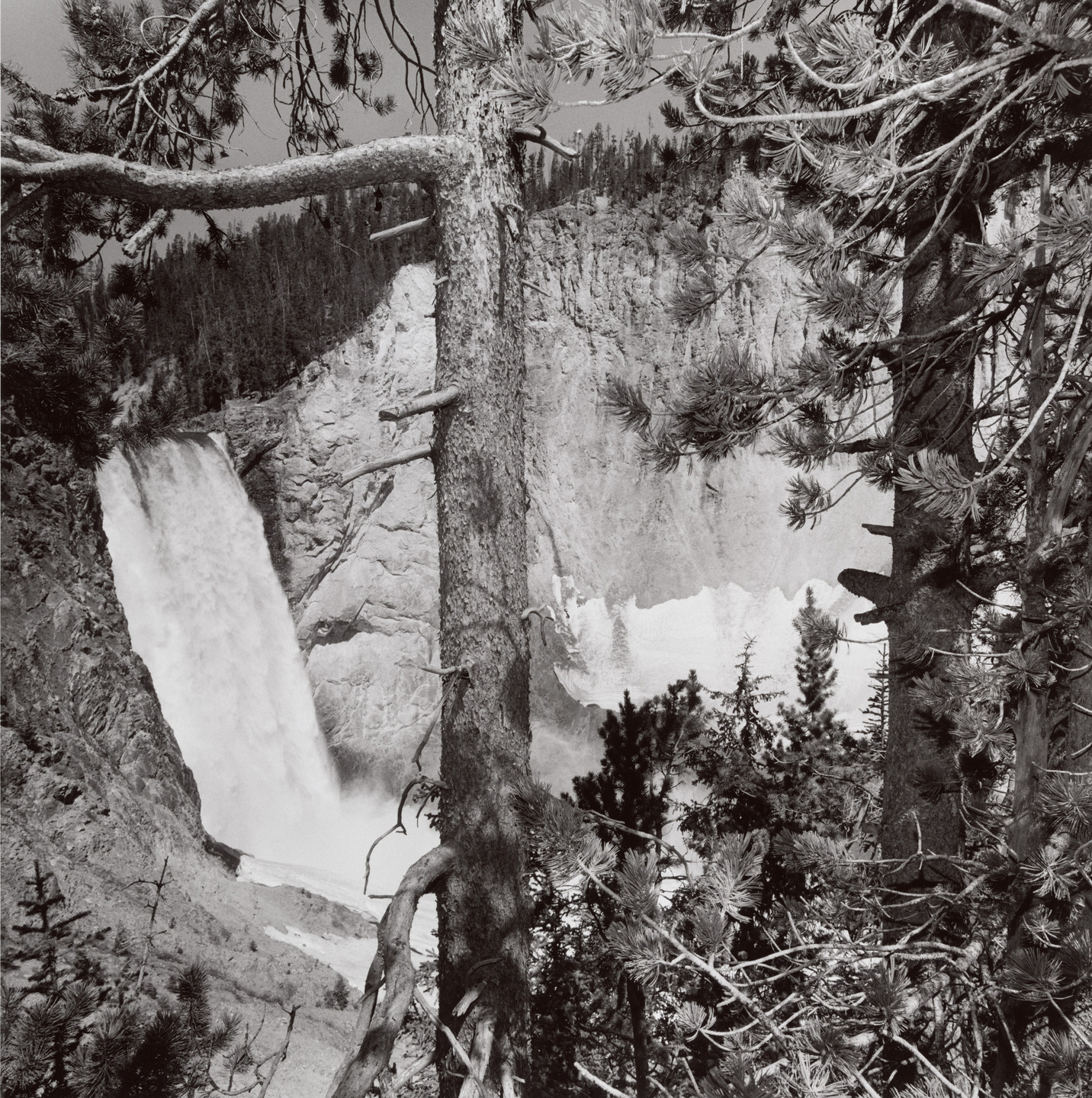 Lee Friedlander. Yellowstone National Park, Wyoming. 1996 | MoMA