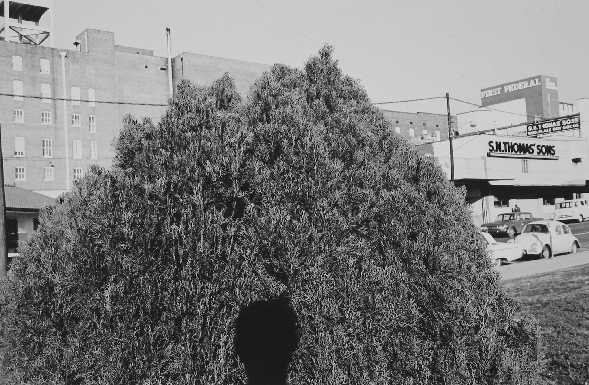 Lee Friedlander. Southern United States. 1966