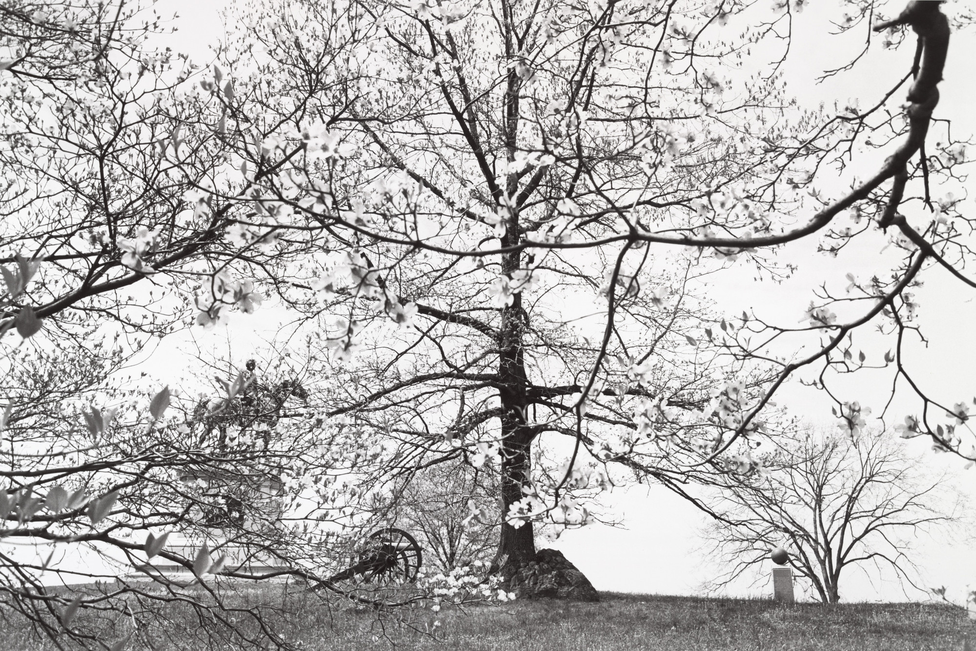 Lee Friedlander. Major General Harry W. Slocum, Napoleon Gun, and Stevens' Fifth Maine Battery Marker. Gettysburg National Military Park, Pennsylvania. 1974