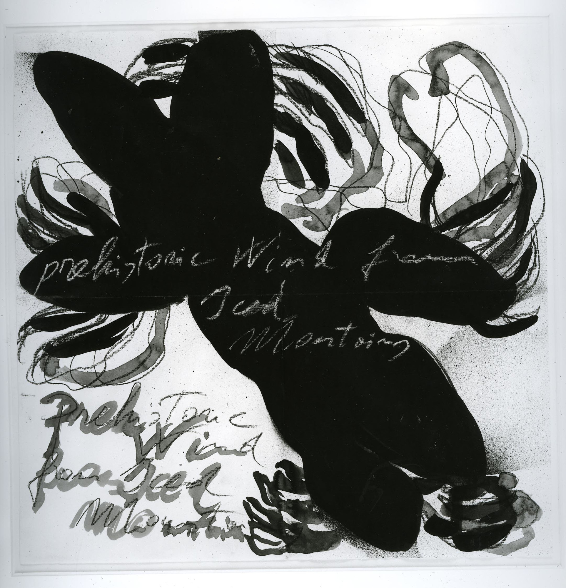 Mario Merz. Prehistoric Wind from Iced Mountains