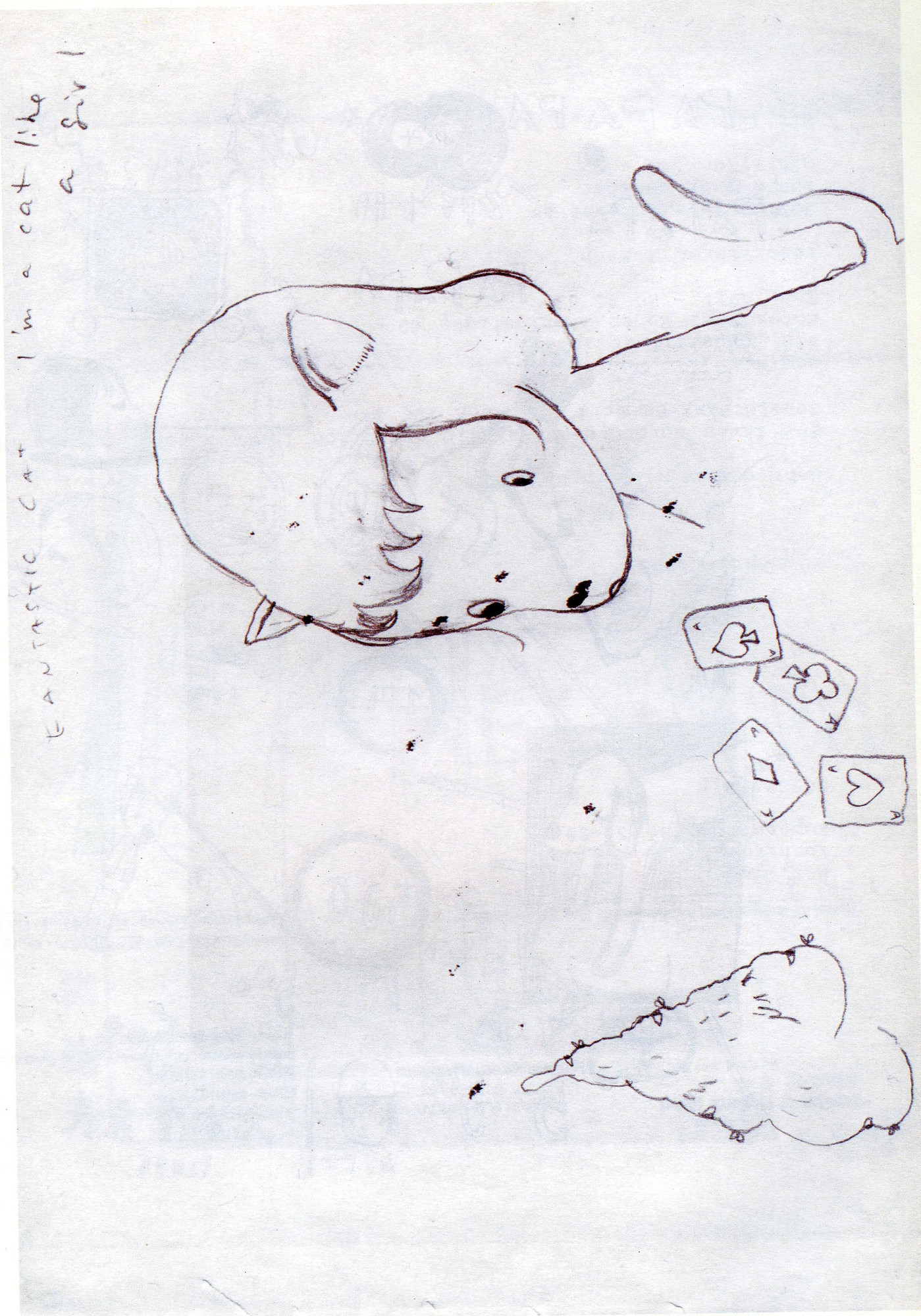 Yoshitomo Nara. Untitled ("Fantastic cat I'm a cat like a girl") from the series Time of My Life